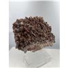 Image 2 : 10 X 8 INCH  5 KG DOG THOOT CHOCOLATE CALICTE SPECIMEN