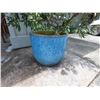 Image 2 : Large Blue Planter Pot 17" Dia, 15"H w/ Plant