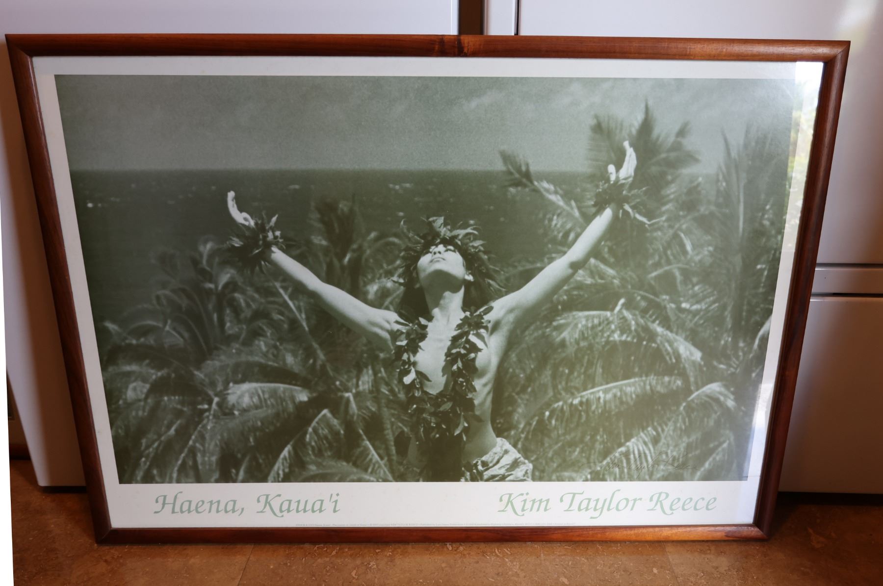 Haena, Kauai Art Print by Kim Taylor Reece, Wood Framed 39