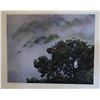 Image 1 : Landscape Photographic Image Enhanced w/ Oils by Melanie Johnson, Unframed 20" x 16"