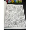 Image 4 : 4 Large Print Coloring Books for Adults; Great Detailed Designs - Brand New