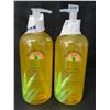Image 1 : 2 Lily of the Desert 99% Aloe Vera Gelly Soothing Moisturizers - Great for Sunburns! - 16oz Each