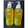 Image 1 : 2 Lily of the Desert 99% Aloe Vera Gelly Soothing Moisturizers - Great for Sunburns! - 16oz Each