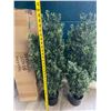 Image 3 : 2 Artificial 3FT-Tall Topiary Trees/Potted Artificial Plants for Outdoors - Brand New!