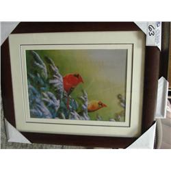 Framed Print - Big Duck