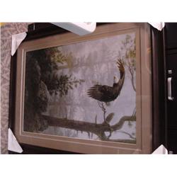 Framed Print - Eagle