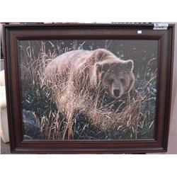 Framed Print 'crossing Paths'