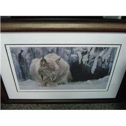 Framed Print 'dozing Lynx' By Robert Bateman