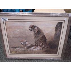 Framed Print 'siesta' By Michael Frye