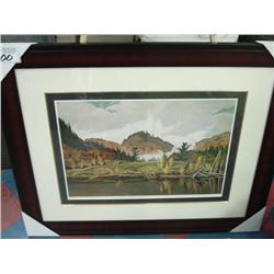 Limited Edition Print 397/495 'morning Mist'