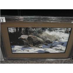 Framed Print 'strike One, Red Tailed Hawk'