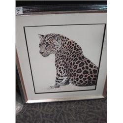 Framed Limited Edition Print