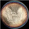 Image 2 : 1999 Silver American Eagle $1 GEM BU