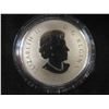 Image 3 : Canadian 2014 10 Dollar Silver Coin Year of the Horse