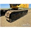 Image 43 : 2019 TIGERCAT X870D FELLER BUNCHER