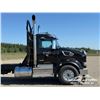 Image 52 : 2024 PETERBILT 567 TRI DRIVE LOG TRUCK