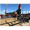 Image 14 : 2016 CROSS COUNTRY 50 FT. TRIDEM LOG TRAILER