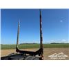 Image 45 : 2008 DOEPKER SUPER B-TRAIN LOG TRAILERS