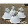 Image 1 : (4) SHOP LIGHTS