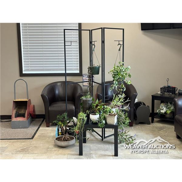 VARIETY OF HOUSE PLANTS WITH METAL STAND