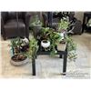 Image 2 : VARIETY OF HOUSE PLANTS WITH METAL STAND