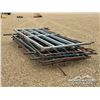 Image 3 : (9) LIVESTOCK PANELS & GATES