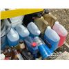 Image 5 : ASSORTED VEHICLE FLUIDS