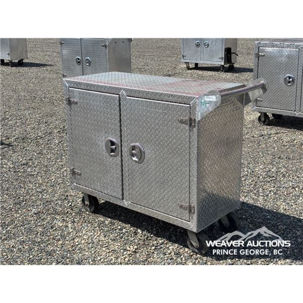 48 IN. ALUMINUM ROLLING TOOL CABINET