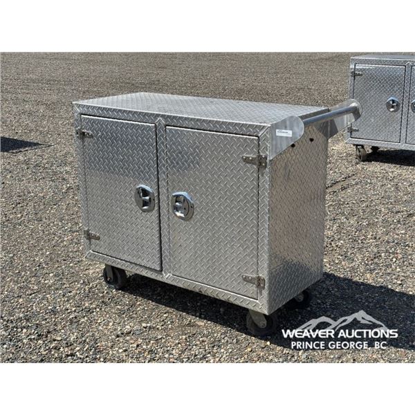48 IN. ALUMINUM ROLLING TOOL CABINET