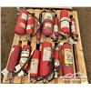 Image 1 : (13) FIRE EXTINGUISHER BOTTLES