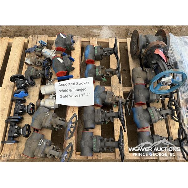 ASSORTED SOCKET WELD & FLANGED GATE VALVES
