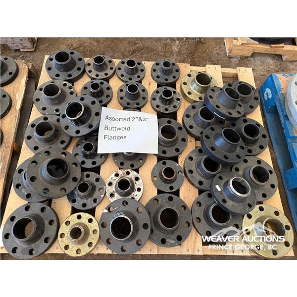 2-3 IN.  BUTT WELD FLANGES