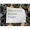 Image 2 : 2-3 IN.  BUTT WELD FLANGES
