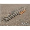 Image 2 : (3) ADJUSTABLE LADDERS