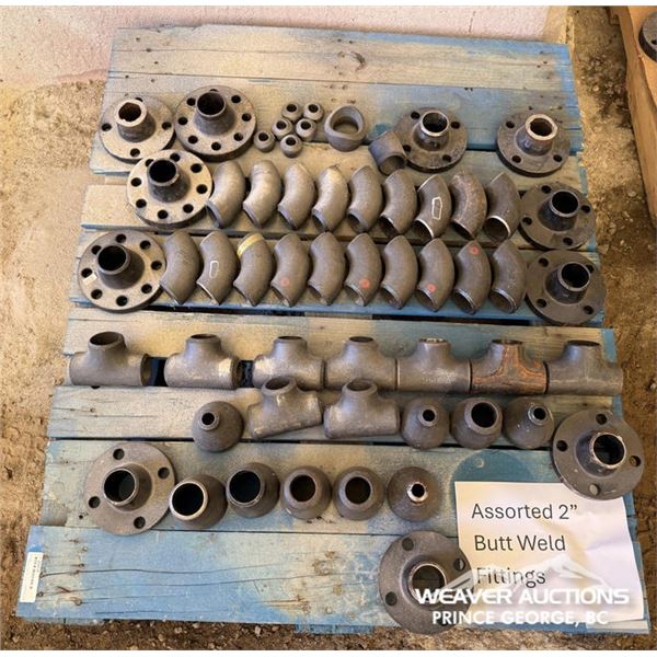 ASSORTED 2 IN. BUTT-WELD FITTINGS