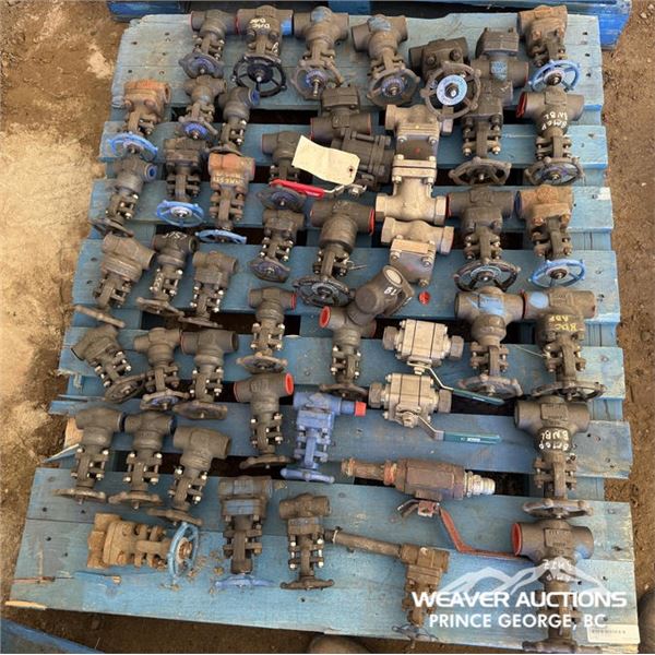 SOCKET WELD GATE VALVES