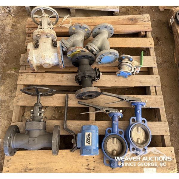 (9) VALVES