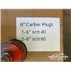 Image 2 : 6 IN. CARBER PLUGS
