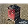 Image 2 : LINCOLN ELECTRIC IDEALARC 250 WELDER