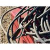 Image 8 : LINCOLN ELECTRIC IDEALARC 250 WELDER