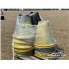 Image 2 : (31) ASSORTED PIPELINE CONES