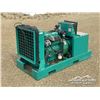 Image 1 : ONAN 20 KW GENERATOR SET ON SKID