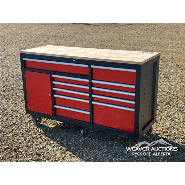PRO MASTER ROLLING TOOL CABINET