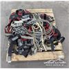 Image 1 : (10) HARNESSES & LANYARDS