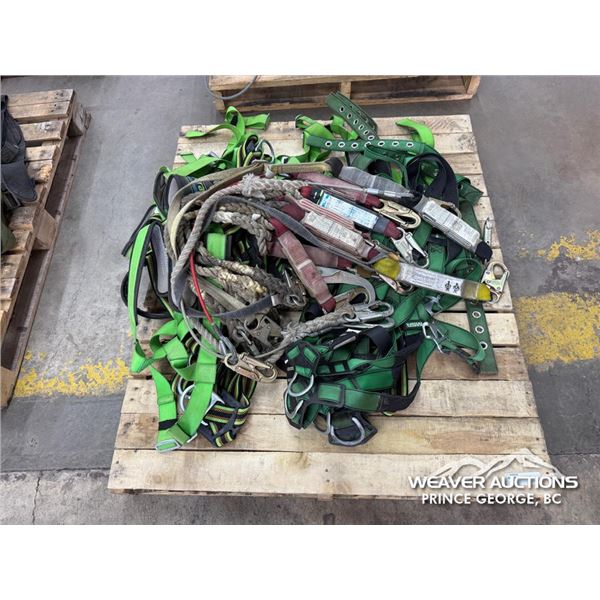 (10) HARNESSES & LANYARDS