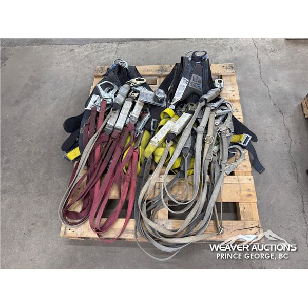 (10) HARNESSES & LANYARDS