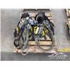 Image 5 : (10) HARNESSES & LANYARDS