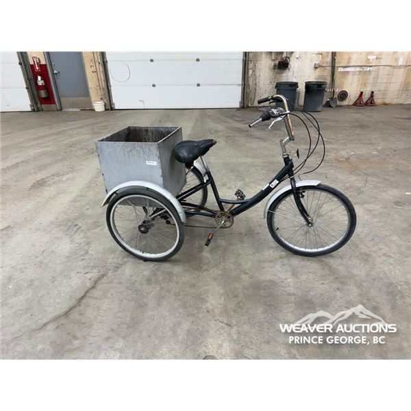 ADULT TRICYCLE