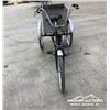 Image 2 : ADULT TRICYCLE