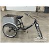 Image 1 : ADULT TRICYCLE